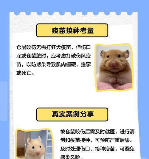 仓鼠咬主人手指的原因及解决方法（了解仓鼠咬手指的动机，建立和宠物的良好互动关系）