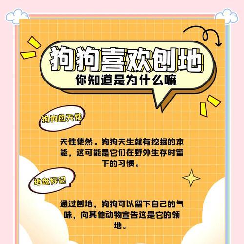狗狗交配时会连在一起的原理解析（探究狗狗特殊生理结构对交配方式的影响）