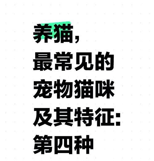 宠物猫品种介绍及价格大全（了解各种宠物猫品种的特点和价格，选择最适合你的爱宠！）