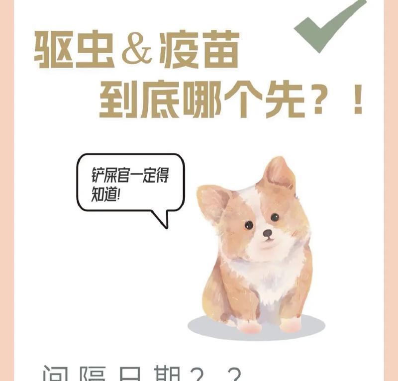 狗狗疫苗保护有效期（了解疫苗保护期限，为爱犬提供最佳免疫保护）