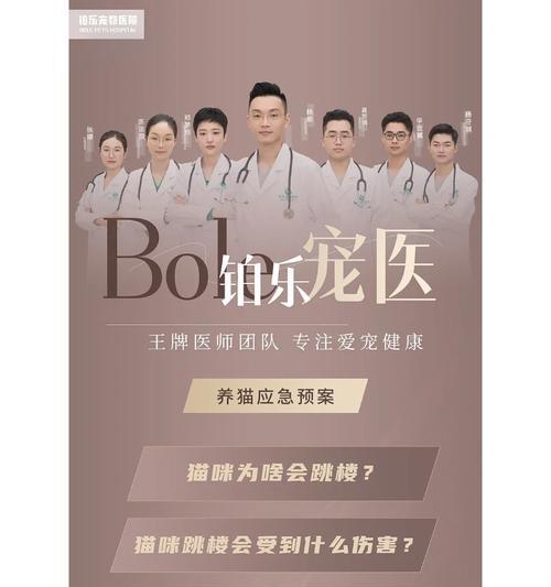 猫绝育后退激素的时间长短与影响（探讨猫绝育后激素水平的变化及其对猫健康的影响）