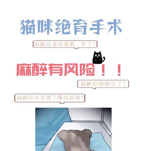 猫咪绝育的利与弊（合理看待绝育的影响与选择）