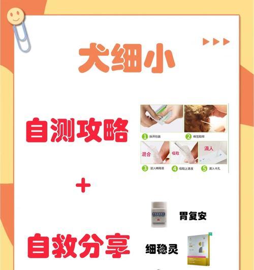 狗狗细小恢复期的肠胃调理和营养补充方法（关注细节，帮助狗狗康复更快）