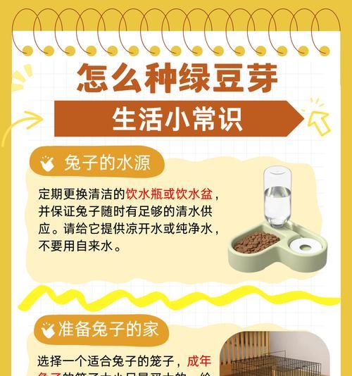 兔子喝水的频率及注意事项（探究兔子喝水的时间间隔与数量，了解兔子饮水的相关知识）