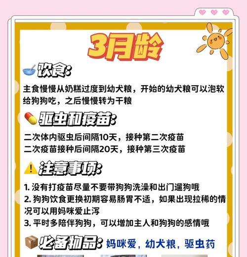 比熊疫苗接种后何时可以洗澡？（疫苗接种后的洗澡时间安排与注意事项）