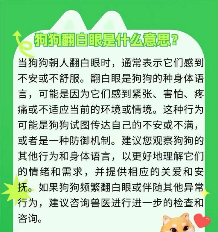 养狗小常识（7个小技巧教你如何更好地照顾你的爱犬）
