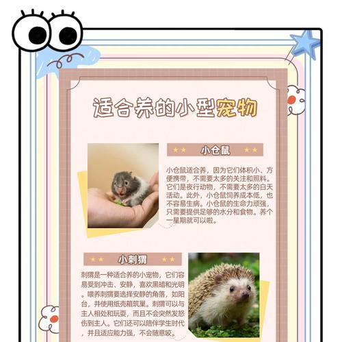 宠物知识大全（了解宠物常识，让你成为贴心宠物主人）