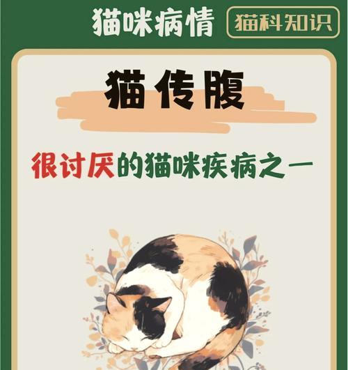 揭秘猫传腹的症状与防治方法（了解猫传腹，守护我们的小伙伴）