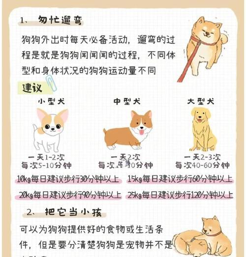 养护幼犬，关注细节（饲养幼犬需注意的15个重要事项）