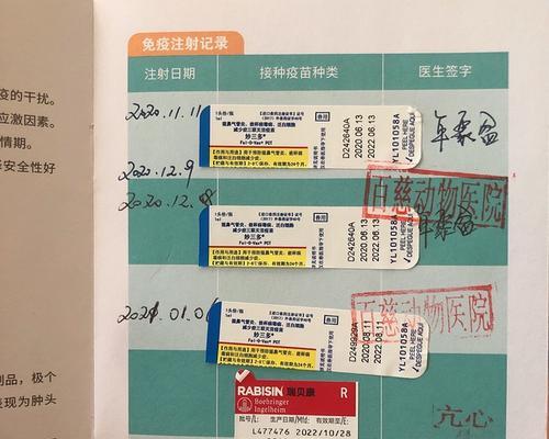 猫疫苗的有效期究竟有多久？（探索猫疫苗的持续保护力和关键时间节点）