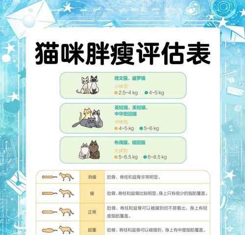 猫咪太瘦的原因及对策（探究猫咪体重问题，给您的宠物更好的关爱）