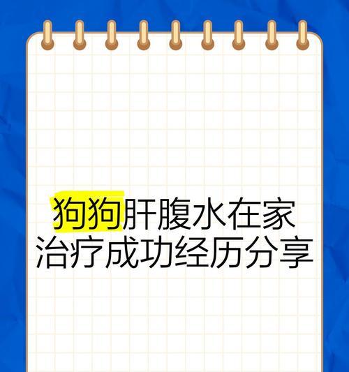 狗肝腹水的症状及预防措施（了解狗肝腹水的症状，保护您的爱宠健康）