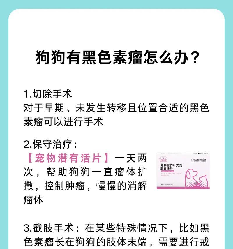 揭秘狗狗肚子上的黑斑之形成原因（小心护理，宠物的黑斑有话要说！）