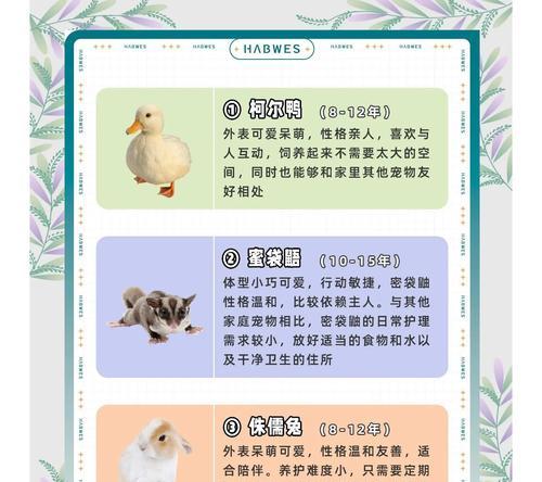 龙猫能够多久认人？（探究龙猫对主人的情感认知能力）