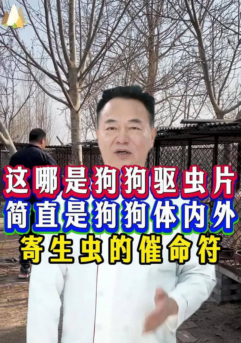 小狗出生多久可以进行驱虫？（了解小狗驱虫的最佳时机和方法）