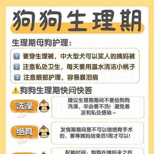 狗生完宝宝后月经恢复情况详解（探究狗狗生产后的恢复周期及注意事项）