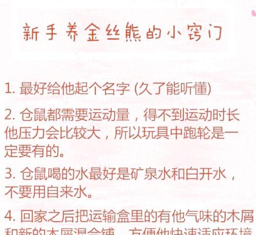 仓鼠养护手册（养护新手必读，学会合适的把握时机）
