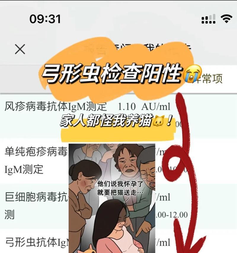 怀孕养狗不必送走，教你5个小妙招应对弓形虫感染（解除孕妇担忧，享受宠物陪伴）