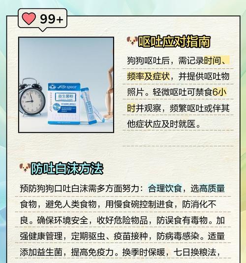 狗狗吐白沫的原因和解决方法（快速了解狗狗吐白沫，保护宠物健康）