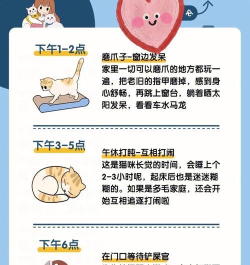 猫咪之乐（探索猫咪游戏本能与行为规律，揭秘其独特的闹腾时刻）