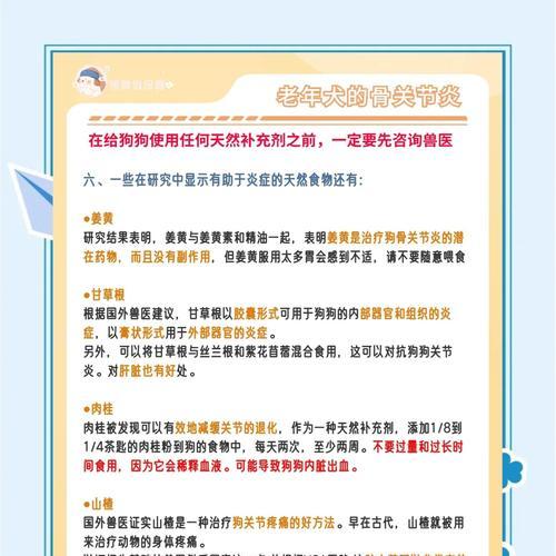 犬的基础护理（探索犬的健康需求与日常护理技巧）