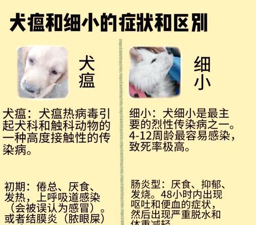 犬瘟细小早期检测的重要性（多久能够准确检测出犬瘟细小？）