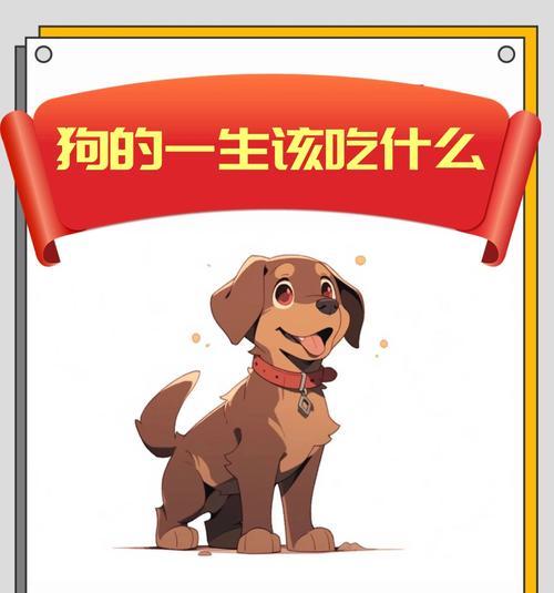 小狗出生后多久可以开始喂食？（营养需求与适宜喂食时间的关系）