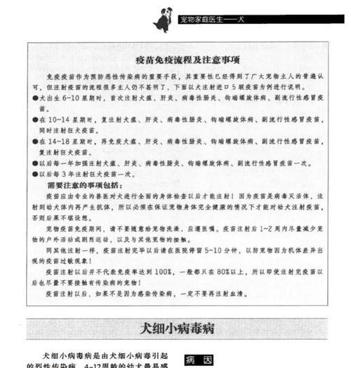 狗狗传染细小的时间和预防措施（了解细小传播周期，守护宠物健康）
