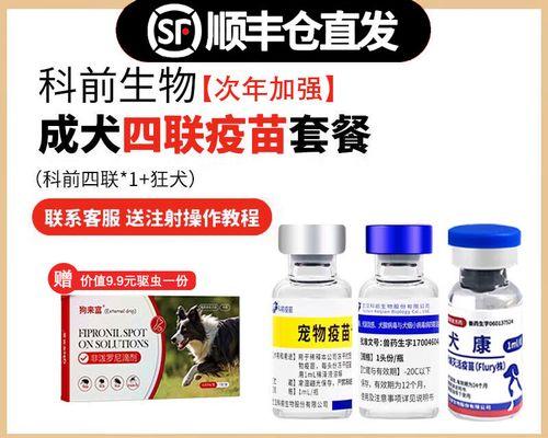 狗子疫苗过敏反应及处理方法（了解狗子疫苗过敏的反应，合理处理保护宠物健康）