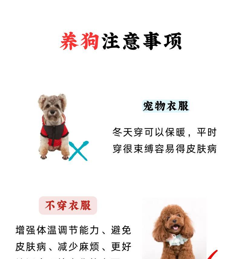 小狗喝纯牛奶补充营养？要避免这个新手养狗的常见错误！（纯牛奶并非适合小狗的饮品，喂养需谨慎）
