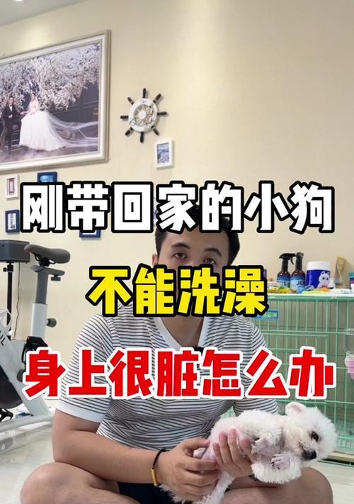 打针后多久能洗澡？（探讨适宜洗澡的时间和注意事项。）