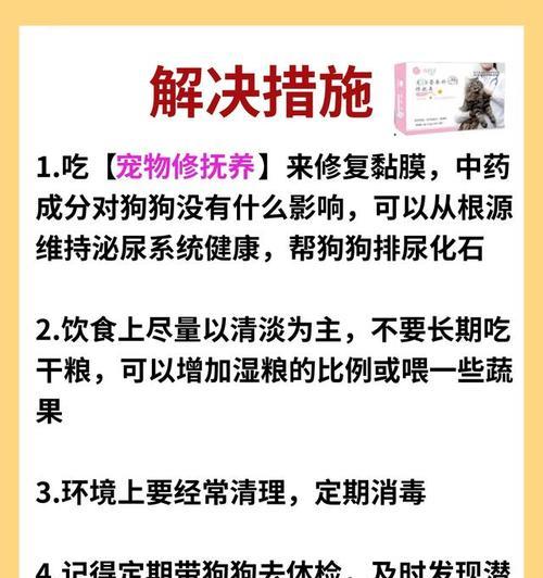 狗狗尿道炎的治疗方法与预防措施（了解狗狗尿道炎的常见症状及有效处理方法）