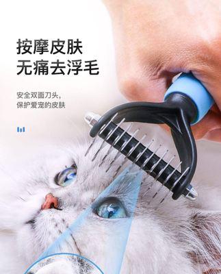 如何给泰迪犬梳毛，让毛发保持柔顺（简单实用的泰迪犬梳毛知识）