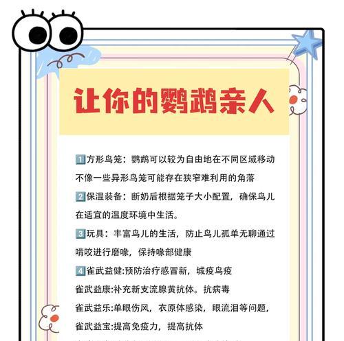 如何解决鹦鹉咬人问题（让鹦鹉亲近我们的有效方法）