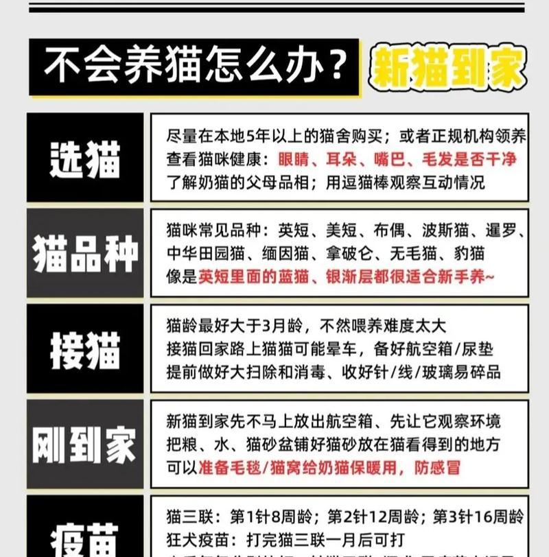 新到家猫洗澡的最佳时间和频率（科学养猫，给新到家的猫洗个干净）