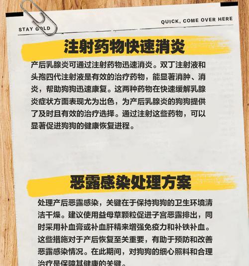 母狗产后恢复需要多长时间？（探究母狗产后恢复的时间和因素）