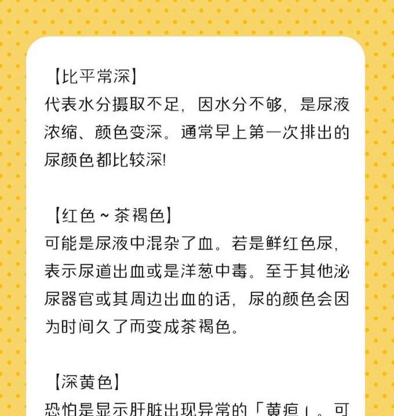狗狗肾功能指标检测的重要性（了解狗狗肾功能健康的关键指标）