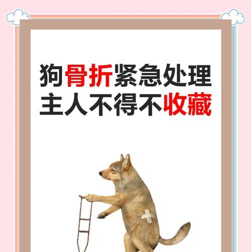 狗狗骨折的症状及治疗方法（了解狗狗骨折的迹象，及时帮助你的宠物恢复健康）