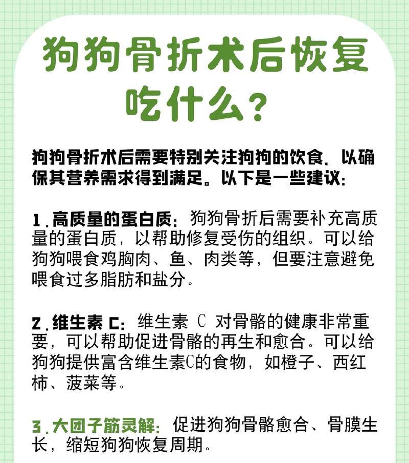 狗狗断尾手术后恢复时间及护理指南（探究狗狗断尾手术后的康复时间，以及如何为狗狗提供适当的护理）