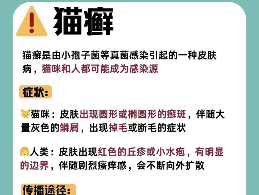 猫咪传染疾病的危险性剖析（了解猫咪传染疾病，呵护宠物和家庭健康）