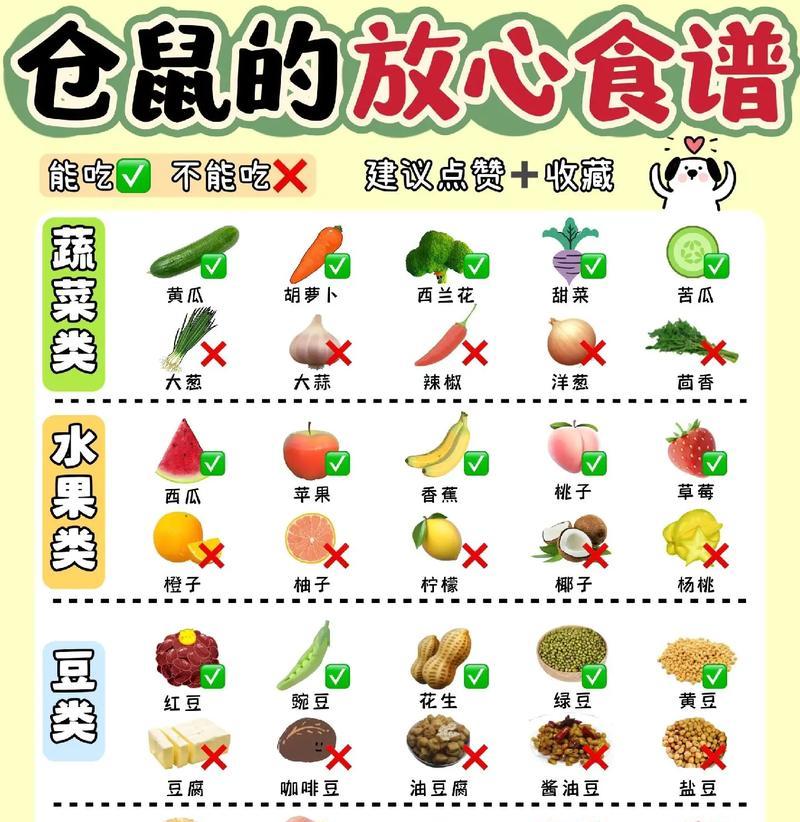 仓鼠的饮食（了解仓鼠饮食的关键，保证它们的健康成长）