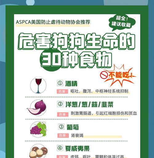 狗狗的日常饮食需求是多少？（了解狗狗每天所需食物量的关键因素）