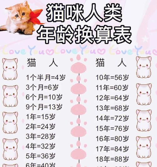 揭秘猫咪年龄之谜（探索猫咪年龄对照表的秘密）