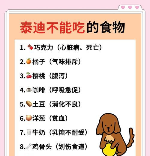 泰迪犬驱虫频率及注意事项（泰迪驱虫周期、适用药物及预防措施详解）