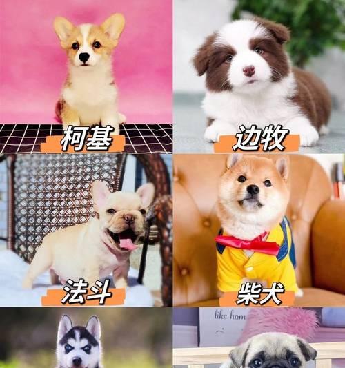 阿拉斯加的价格与决定因素（探索阿拉斯加旅行的成本和关键因素）