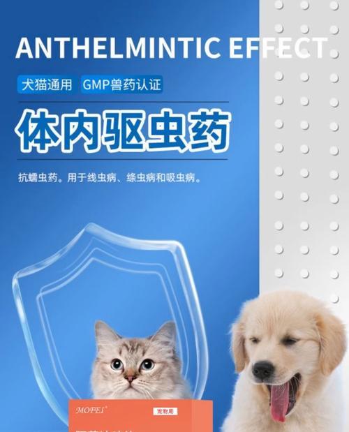 以猫体外虫药多久一次？（合理使用猫体外虫药的频率和注意事项）
