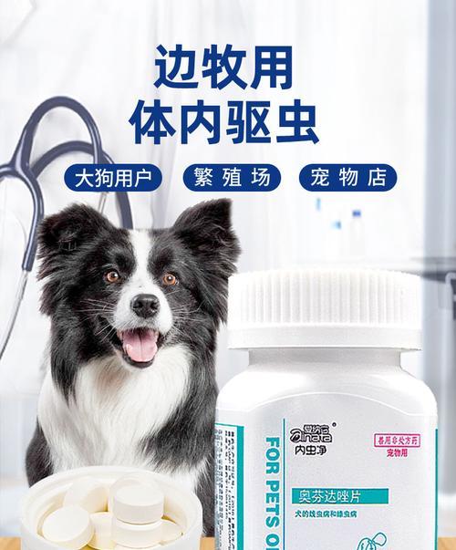 狗吃打虫药多久能拉虫？（探究狗吃打虫药后排虫的时间和因素）