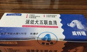 狗血清的应用时效性及其关键因素（探究狗血清的使用时间和相关影响因素，揭示血清疗法的潜力）