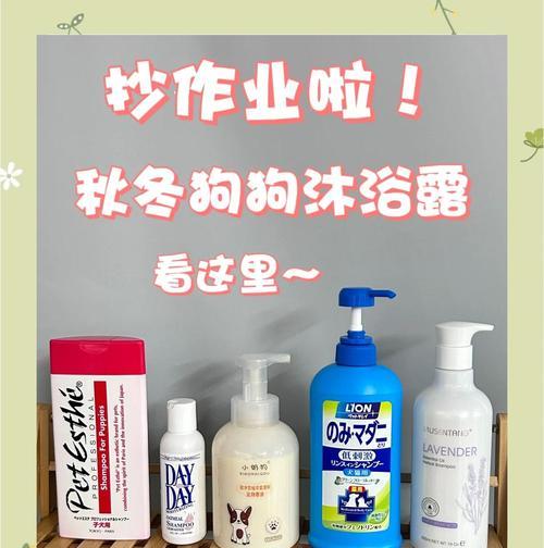 如何科学合理地给奶狗洗澡（奶狗洗澡的时间间隔和注意事项）