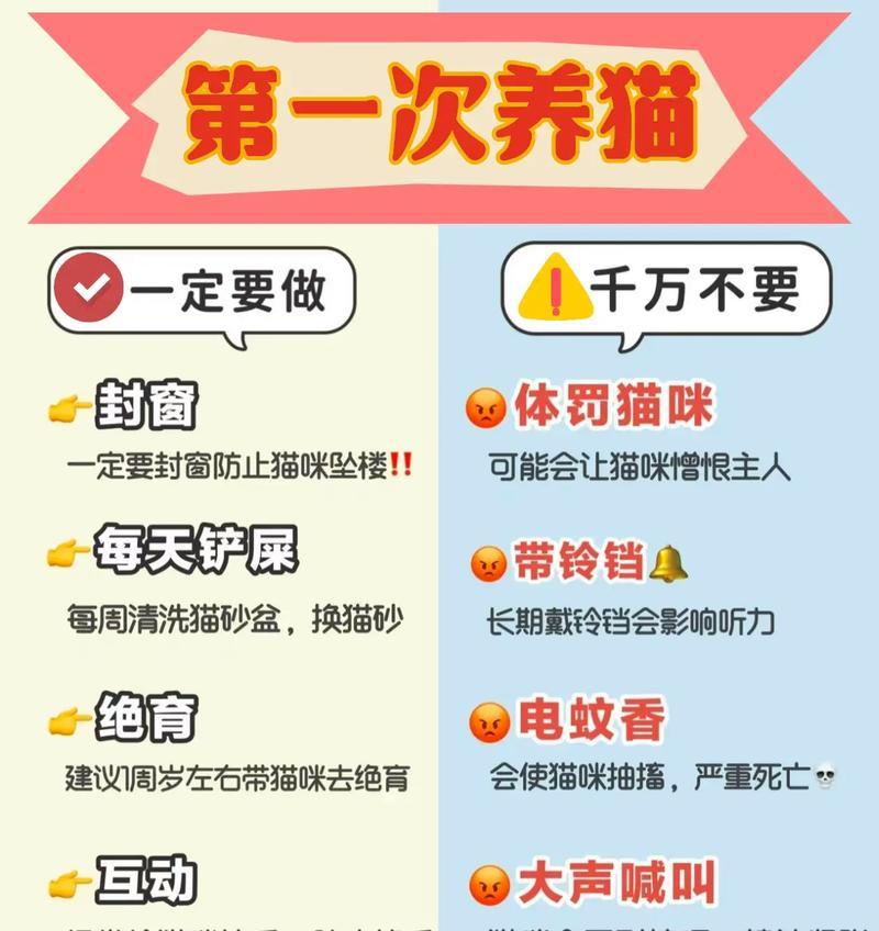 购买猫咪的小窍门（购买猫咪时要记住的事项，为你提供宝贵的购买指南）